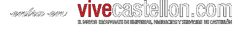 vivecastellon.com